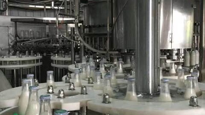 果蔬切割设备：中央厨房尺寸参数解析**