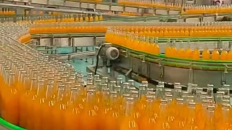 小型食品加工设备：优缺点全面解析